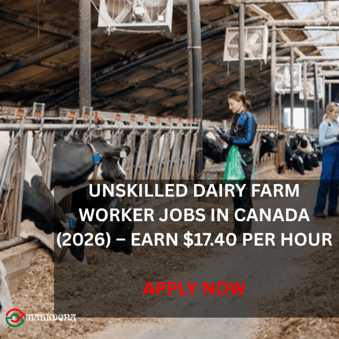 Unskilled Dairy Farm Worker Jobs in Canada (2026) – Earn $17.40 per Hour Unskilled Dairy Farm Worker Jobs in Canada (2026) – Earn $17.40 per Hour